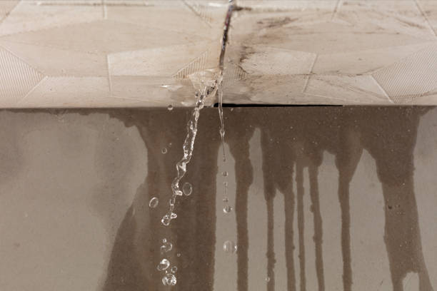 Professional Burst Pipe Cleanup technician working in Spring Valley, IL